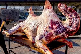 Camel meat 